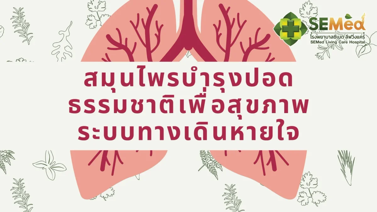 สมุนไพรบำรุงปอด ธรรมชาติเพื่อสุขภาพระบบทางเดินหายใจ