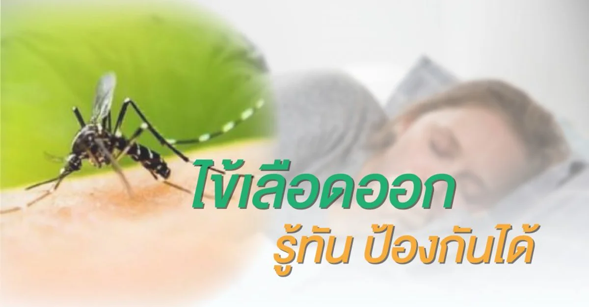 รู้จักไข้เลือดออก: อาการ การป้องกัน และการรักษาที่คุณควรรู้