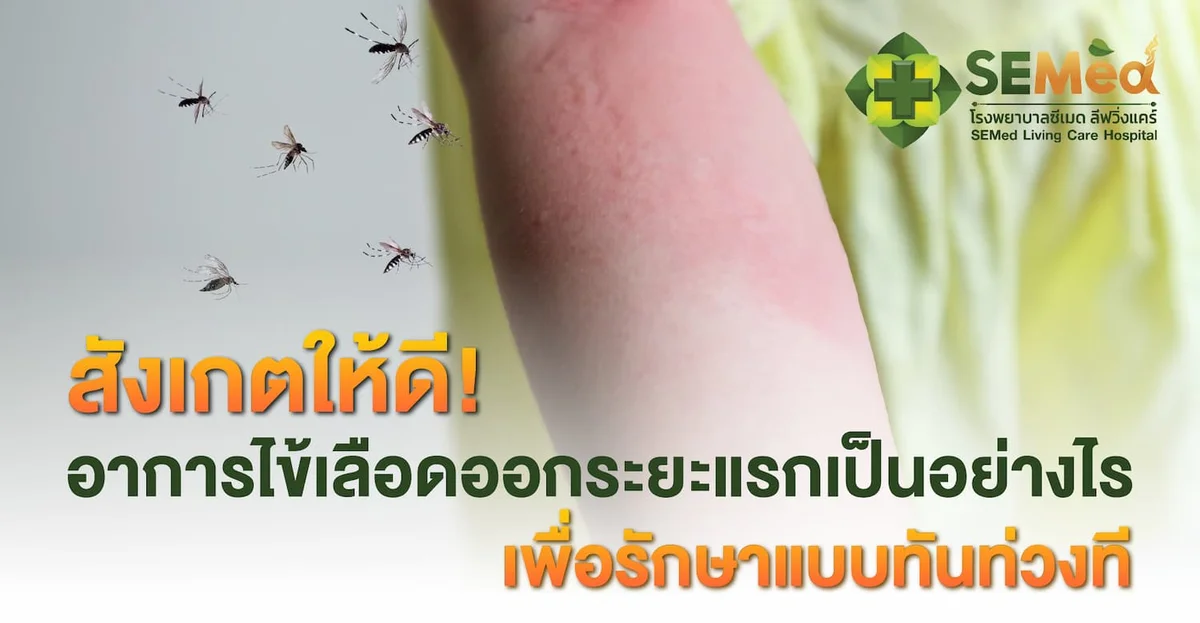 สังเกตให้ดี! อาการไข้เลือดออกระยะแรกเป็นอย่างไร เพื่อรักษาแบบทันท่วงที