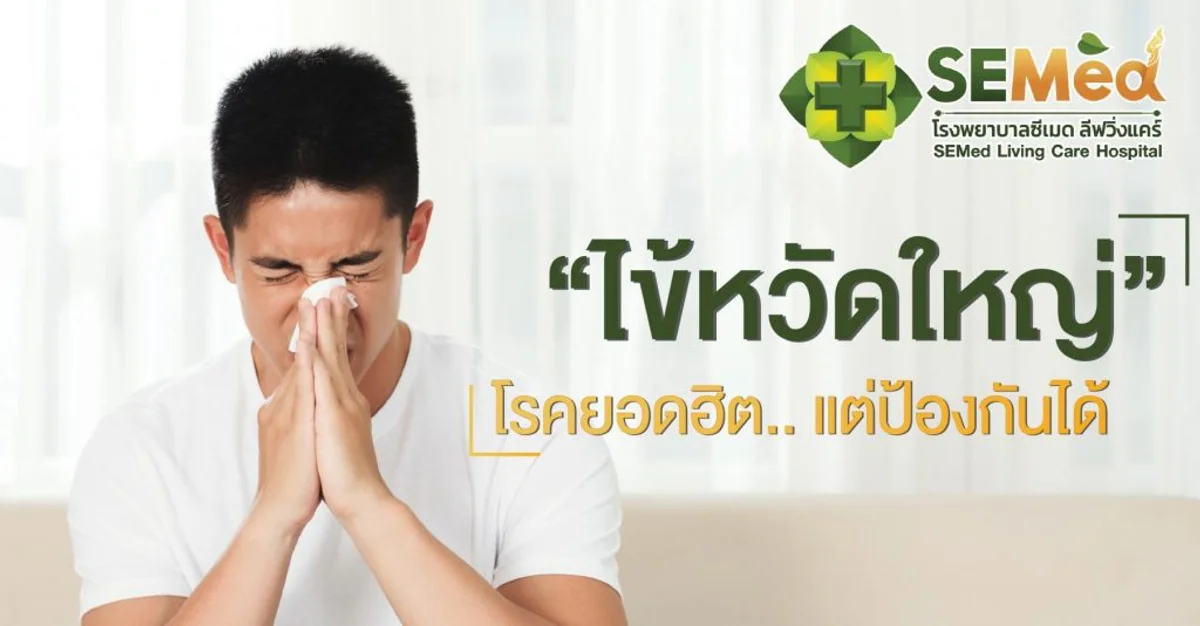 ทุกเรื่องที่ควรรู้เกี่ยวกับไข้หวัดใหญ่: อาการ การป้องกัน และการรักษา